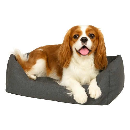 Cavalier King Charles Spaniel op zachte grijze hondenmand