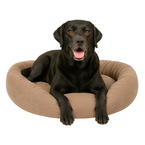 Zwarte labrador ligt ontspannen in comfortabele hondenmand